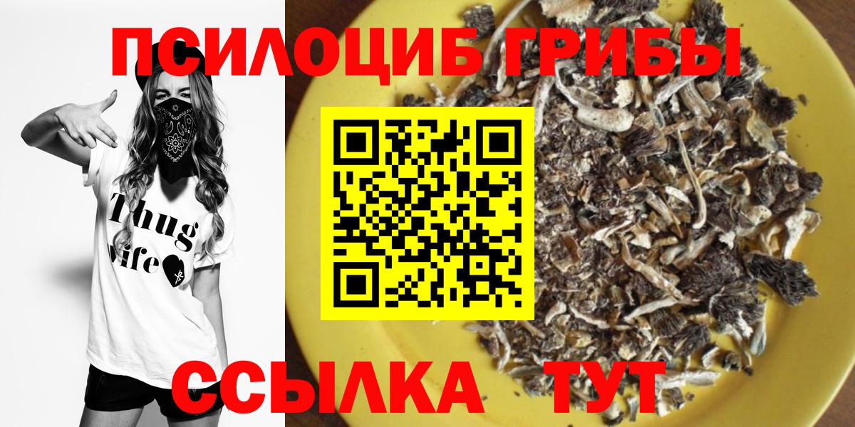 Псилоцибиновые грибы мицелий Люберцы