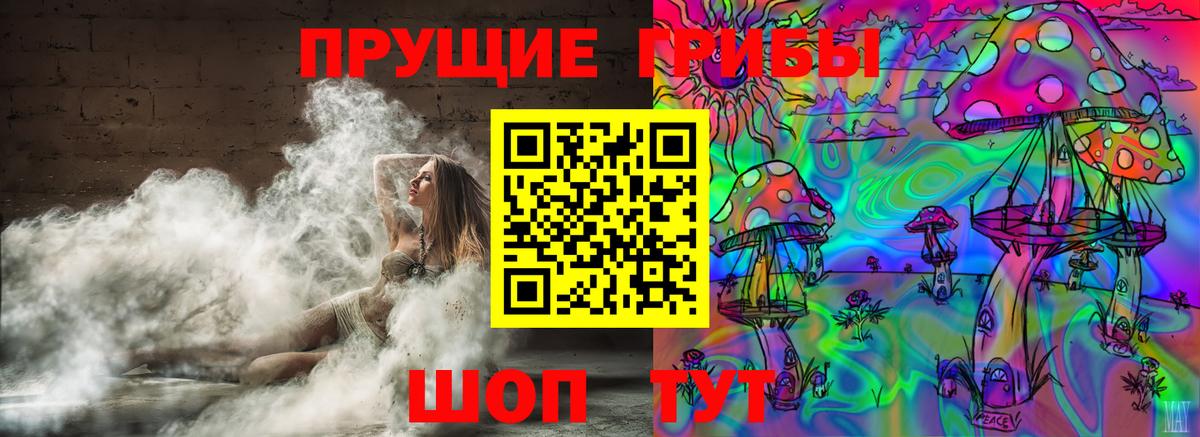 Люберцы  Галлюциногенные грибы Psilocybine cubensis  Вход с VPN 